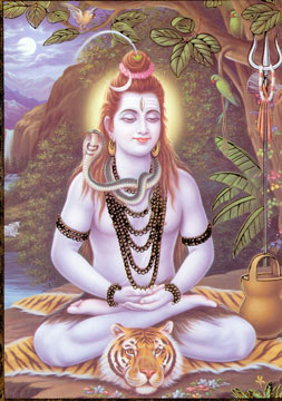 shiva-shankara-web